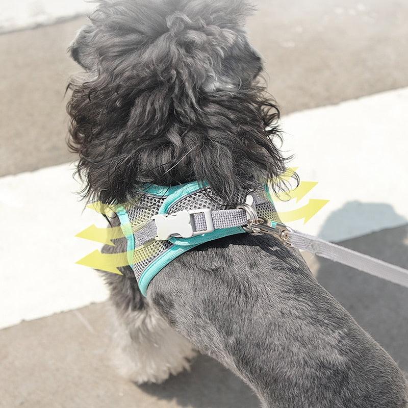 DogVest™ Roupinha refletora de segurança para cães - Love Like Store