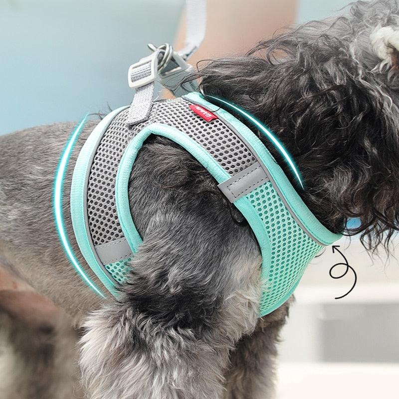 DogVest™ Roupinha refletora de segurança para cães - Love Like Store